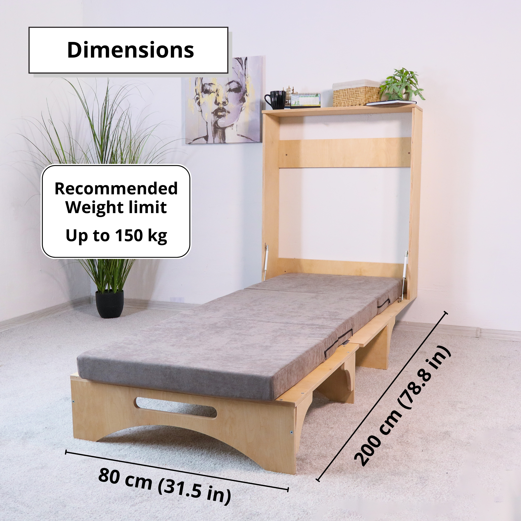 Murphy Bed with Desk and Storage Shelves for Home Office
